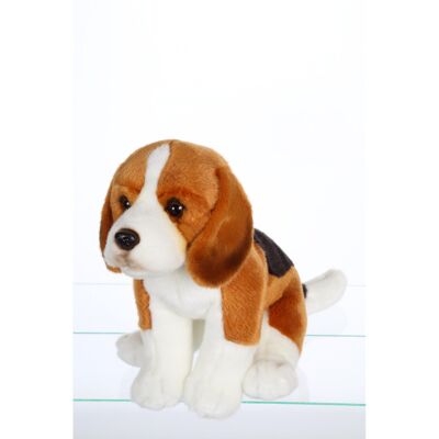 Realistische sitzende Hunde, Beagle 25 cm