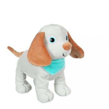 Fun puppies sonores, gris foulard turquoise 1