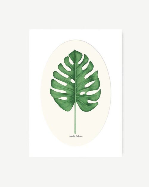 Lámina Acuarela - Monstera