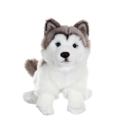 Cani realistici seduti, Husky 25 cm