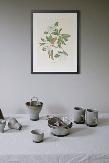 Impression aquarelle botanique Magnolia 7