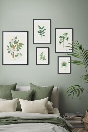 Impression aquarelle botanique Magnolia 12