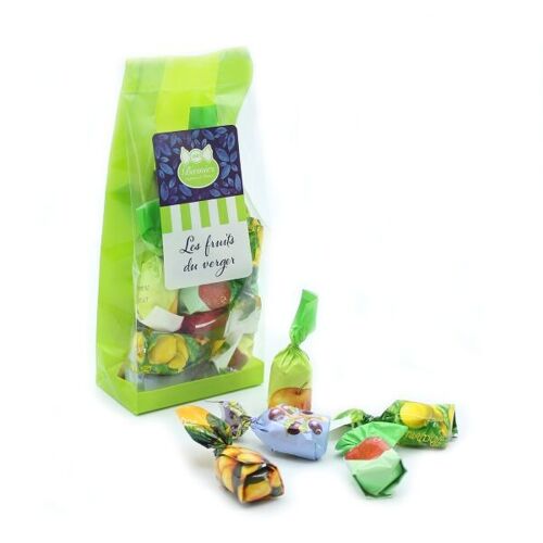 SACHET DE BONBONS FOURRÉS FRUITS - carton de 6 sachets de 100g