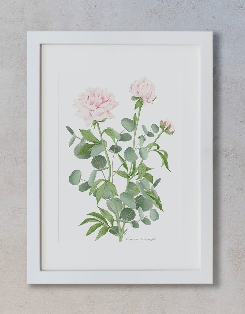 Botanical Print - Peony