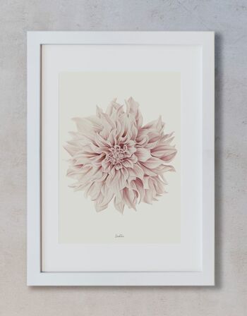 Feuille Décorative - Dahlia 1