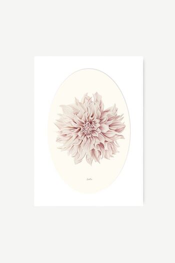 Feuille Décorative - Dahlia 3