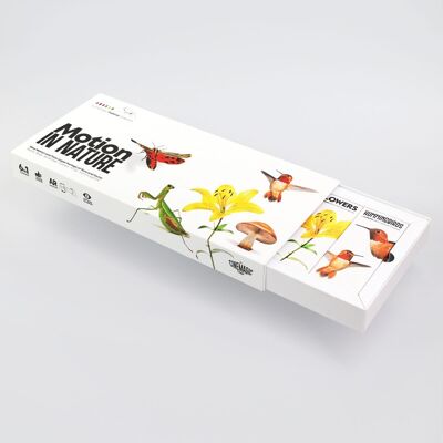 Motion in Nature Flipbook Collection - PREORDER!