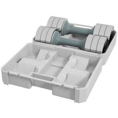 SPORTNOW Juego de 2 mancuernas de musculación, 4 discos de peso ajustables en acero galvanizado y caja de almacenamiento - gimnasio fitness - 2 x 10 kg gris