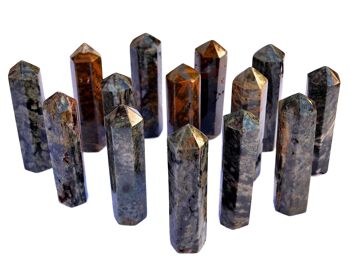 Lot de Ocean Jasper Tower Point 5 Pcs (90mm) 2