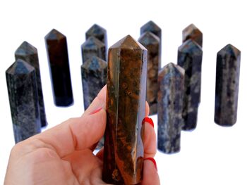 Lot de Ocean Jasper Tower Point 5 Pcs (90mm) 7