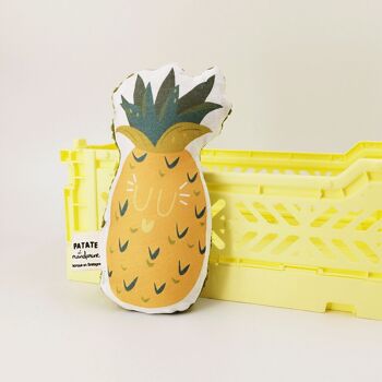 L'Ananas hochet 1