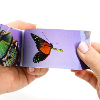 Flipbook Papillons - PRÉCOMMANDE ! 4