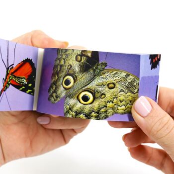 Flipbook Papillons - PRÉCOMMANDE ! 5