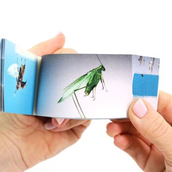 Bugs Flipbook - PRÉCOMMANDE ! 5