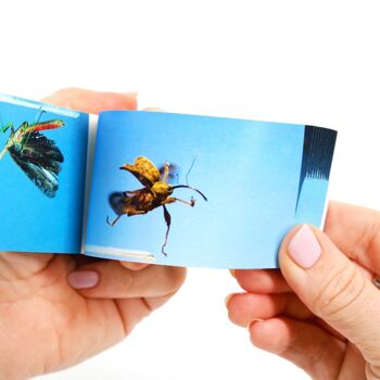 Bugs Flipbook - PRÉCOMMANDE ! 9