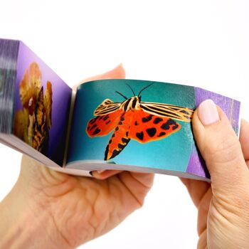 Flipbook Moths - PRÉCOMMANDE ! 4