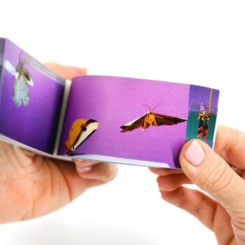 Flipbook Moths - PRÉCOMMANDE ! 5