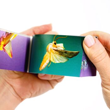 Flipbook Moths - PRÉCOMMANDE ! 7