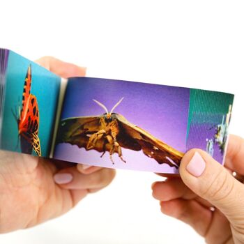 Flipbook Moths - PRÉCOMMANDE ! 9