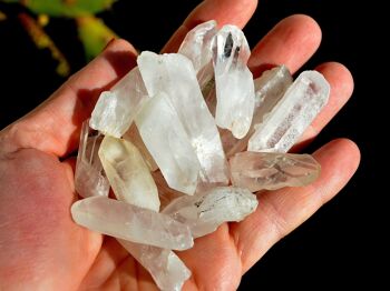 Lot en gros de points de quartz bruts 7