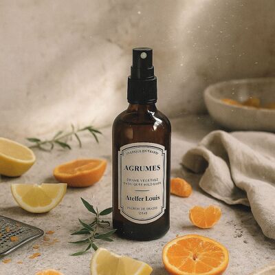Nebbia vegetale agli agrumi 100ML