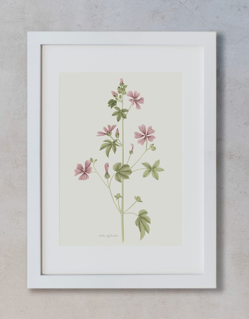 Decorative Sheet - Wild Mauve