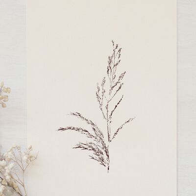 Blumenplakat „Rive sauvage“ • Empreintes-Kollektion • A4