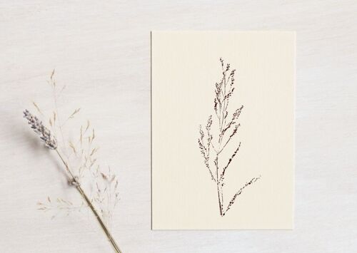 Carte florale "Oseille des prés" • collection Empreintes • A6 (enveloppe incluse)
