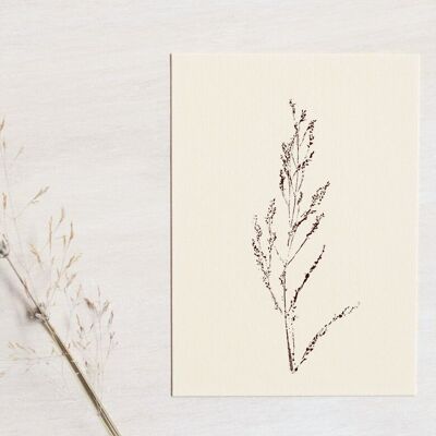 Tarjeta floral “Meadow sorrel” • Colección Empreintes • A6 (sobre incluido)