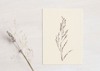 Carte florale "Oseille des prés" • collection Empreintes • A6 (enveloppe incluse) 1