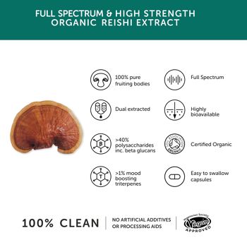 Champignon Reishi 10 300 mg - Haute résistance - 60 Gélules 3