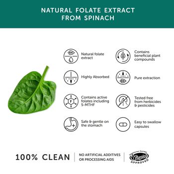 Folate – Alternative naturelle à l'acide folique – 30 Gélules 3