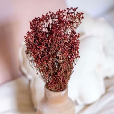 Botte Broom bloom rouge