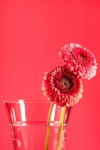 VitaJuwel Flore | Vase à fleurs en verre avec pierres précieuses (sodalite - agate mousse - cristal de roche) 5