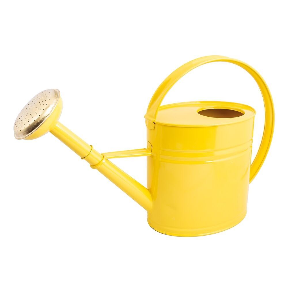 Annaffiatoio da 4 litri - Acciaio zincato - Giallo - Mela in metallo con griglia in ottone | GUILLOUARD