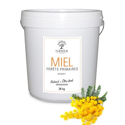 Miel de Bosque Primaria 28Kg