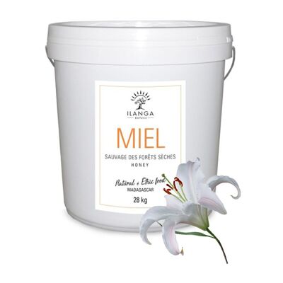 Miel de Bosque Seco 28Kg