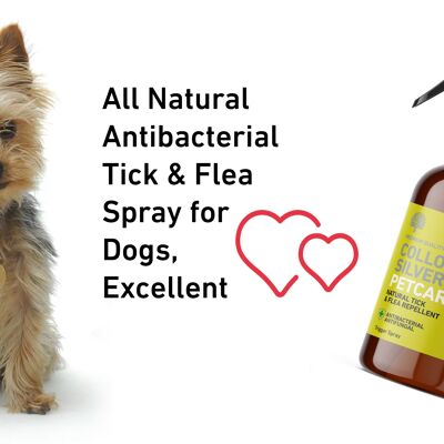 NUOVO argento colloidale naturale repellente per zecche e pulci per cani