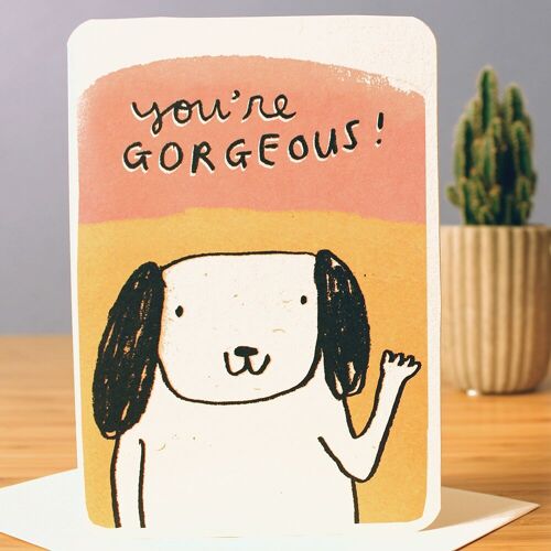 You're Gorgeous Valentine Love Card