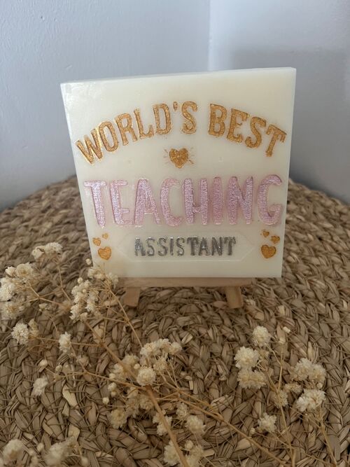 World's Best Teaching Assistant Mini slab Wax melt