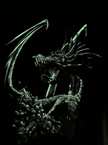 #11 t-shirt tete de mort "Éclipse du Dragon" 3