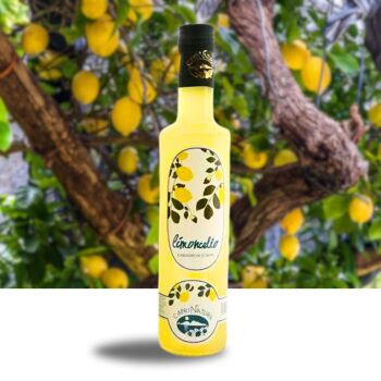 Bouteille LIMONCELLO Stintino - 100cl 2