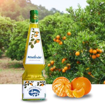 Bouteille de MANDARINE. Obélisque - Obélisque 20cl 2