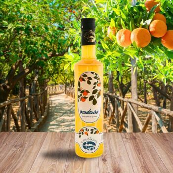 Bouteille de MANDARINE. Stintino - 70cl 7