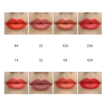 Palette de rouge à lèvres chaude 3
