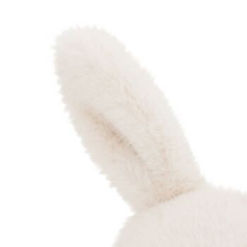 Lapin blanc 5