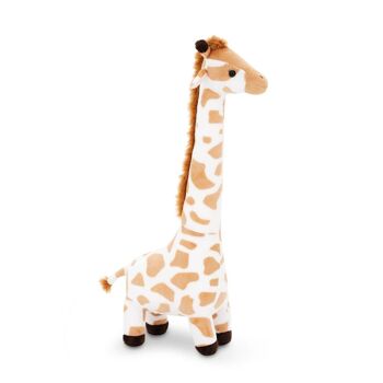 girafe 4