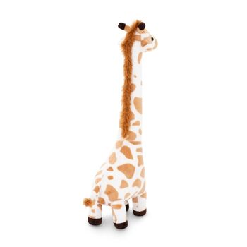 girafe 5