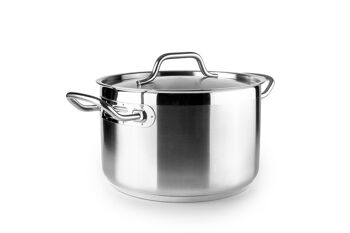 POT AVEC COUVERCLE INOX EBBE 22 CM - 607722 - IBILI 1