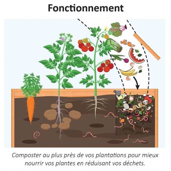 Carré de Jardin 220L / Composteur 45L - Acier Galvanisé et Pin Douglas 3